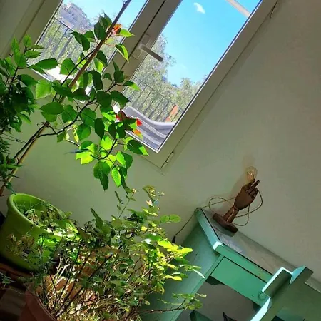 Quarto em Acomodações Particulares Stanza In Superattico, Terrazzato, Luminoso, Accogliente, Bagno Privato *